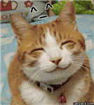 Contrillion Lolcat Sender