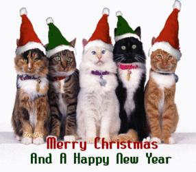 Merry christmas and happy new year