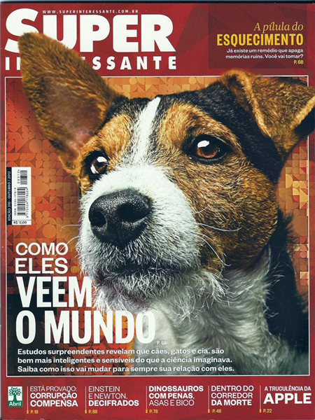 Qual O Tema Da Próxima Temporada