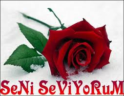 Seni çok seviyorum <3