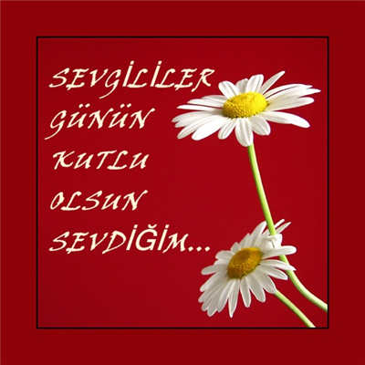 sevgililer günü