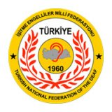 İşitme Eng Milli Federasyon