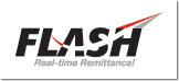 Flash