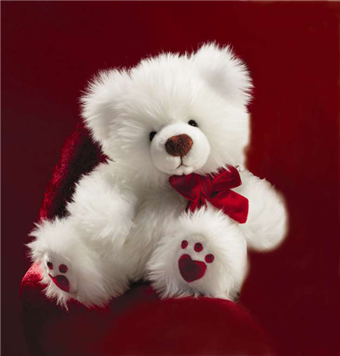 teddy