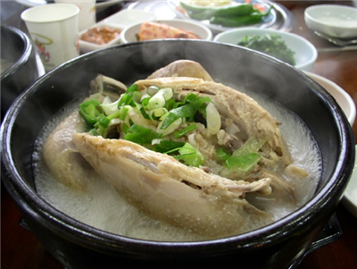 이열치열 몸속이 시원해지는 삼계탕 한마리