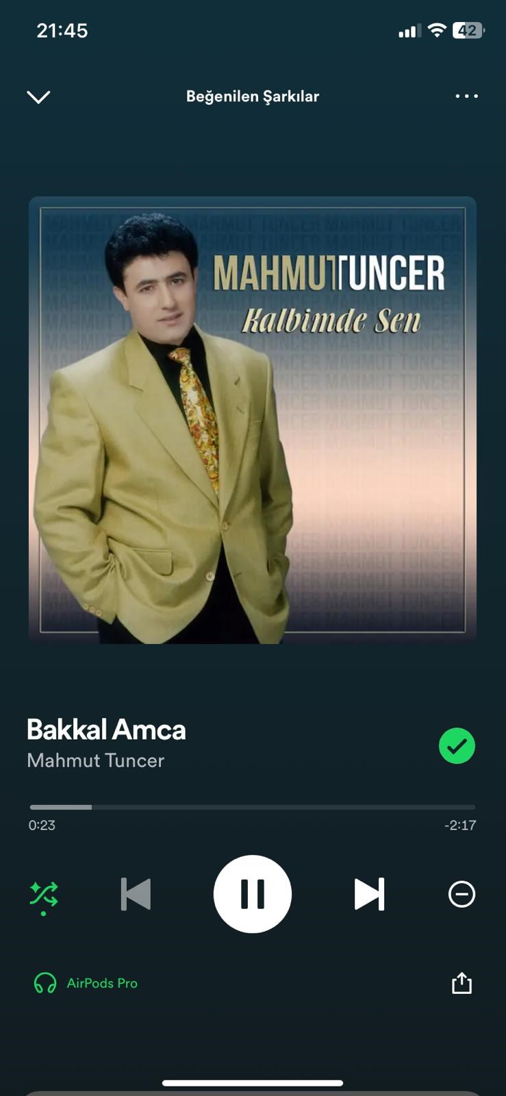 Hangi Cici Kızsın