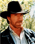 Daily Chuck Norris Facts!