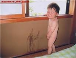 Haydi Sende İşe Xd