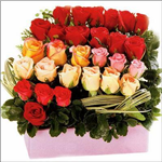 Flowers Color