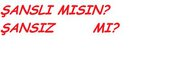 %100 Şanslısın