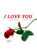 Love dan Kupu-kupu