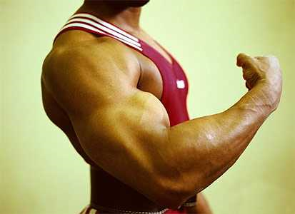 Que Tan Fuerte Eres