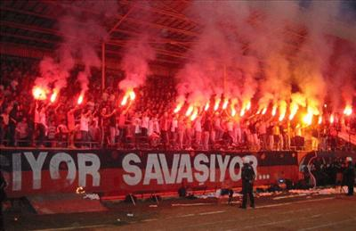 Esesimizi Ne Kadar İyi Tanıon?