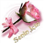 Senin İçin