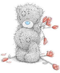 Teddy