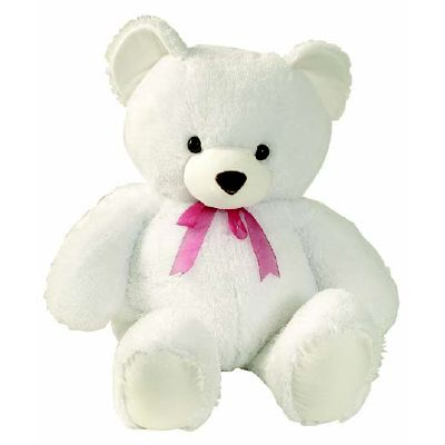 teddy beers