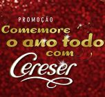 Opçao 3