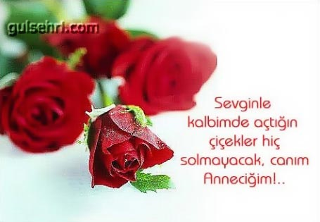 Sevgin Nereye Kadar?
