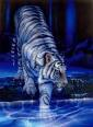 macan putin