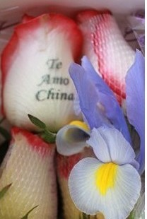 Te Amo China