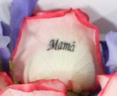 Mamá
