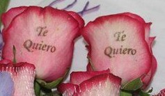 Te Quiero