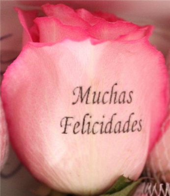 Felicidades