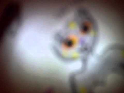 ¿Que Personaje De Tys Eres?