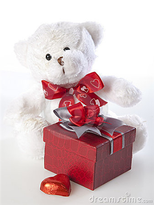 teddy bear