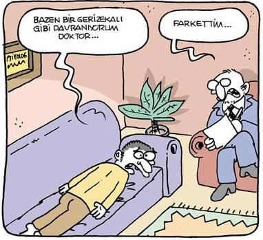 Zeka Testi