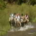 Gift Certificate To Travel