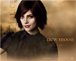 New Moon Gifts