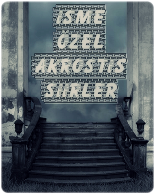 Seni Seviyorum