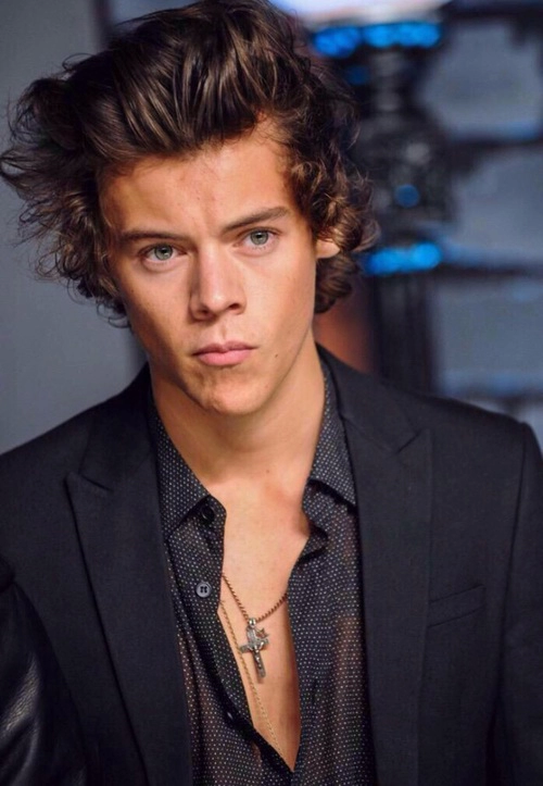 Harry Styles'ı Tanıyor Musun ?