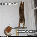Lolcats