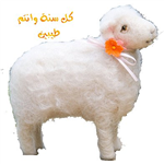 5Arof By2ool Ma2 Aw Water