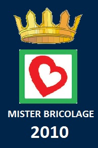Mister Bricolage 2010 Bulgaria