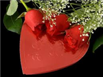 Happy Valentine's Day