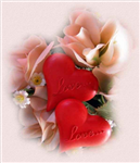 Have A Nice Day...!