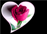 Un Dono Dal Cuore