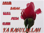 Efendimizin (S.A.V)Askina Bir Gul Ve Salevat Senin