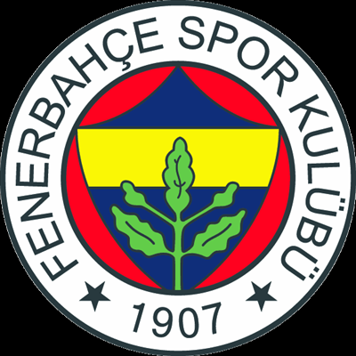 Hangi Fenerbahçeli Futbolcusun ?
