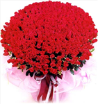 Lovely Roses By (Imran Manihar)
