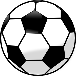 Hangi Ünlü Futbolcusun ?