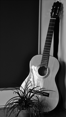 R`N`R Ili Folk