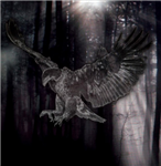 The Cult | Destroy World Virtual Gifts